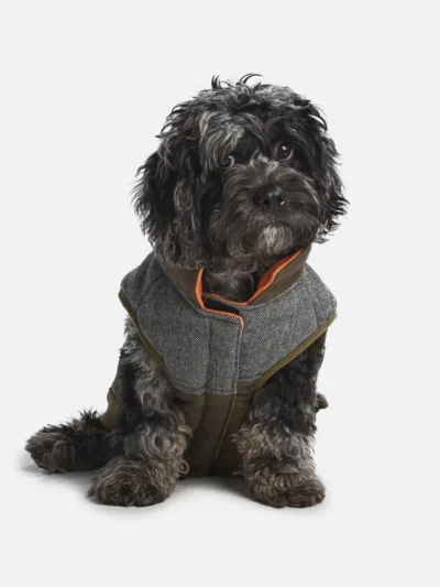 Waterproof Ripstop Dog Coat—Olive