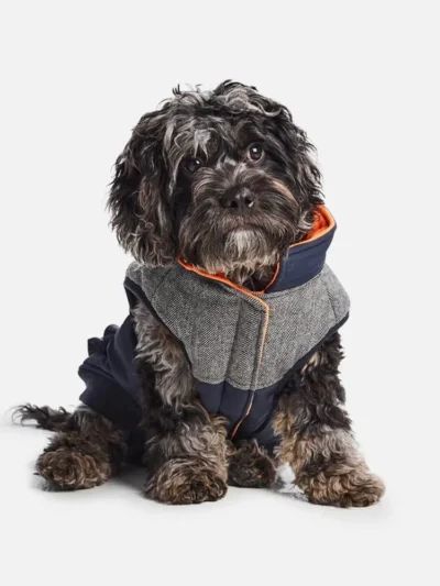 Waterproof Ripstop Dog Coat—Blue
